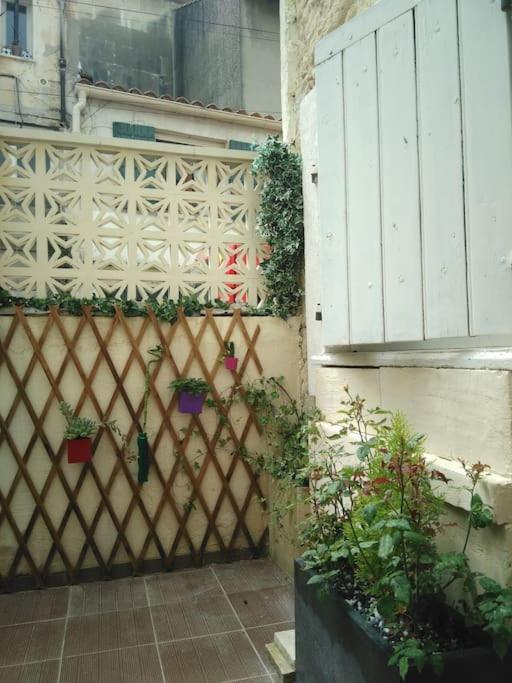 Maison Troglodyte En Provence Fontvieille Kültér fotó